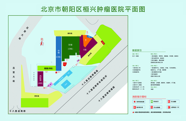 操哭18岁大学生北京市朝阳区桓兴肿瘤医院平面图